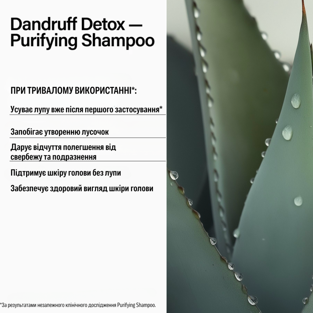 KEUNE Care Dandruff Detox Shampoo 300ml - Шампунь проти лупи - фото №1 KEUNE Care Dandruff Detox Shampoo 300ml - Шампунь проти лупи - фото №1